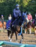 「【注目馬動向】マスカレードボールが昨年から選択肢にあったキングジョージに参戦　手塚久師「１回使って体調はアップ」」の画像1