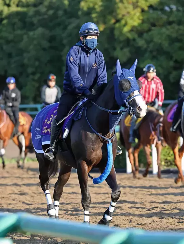 【注目馬動向】マスカレードボールが昨年から選択肢にあったキングジョージに参戦　手塚久師「１回使って体調はアップ」
