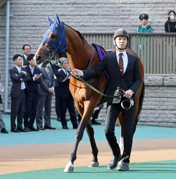 【セレクトセール２０２６】皐月賞馬の全弟＆キタサンブラック産駒...そりゃ高い！「スキアの２０２５」は３億３０００万円