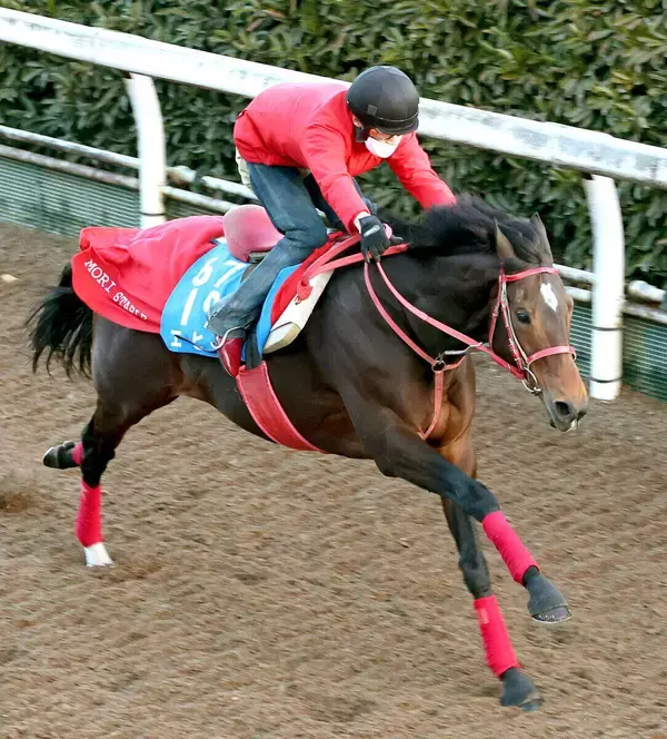 【小倉記念】競走中止のエヒトにファン沈痛「嫌な止まり方して…」「どうか無事で」最終コーナーでアクシデント発生