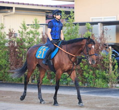 【関屋記念】「素晴らしい馬です」萩原厩舎からの転厩初戦となるダノンセンチュリーを宮田調教師が絶賛