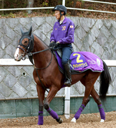 【朝日杯ＦＳ】アドマイヤクワッズは無傷の３連勝で頂点狙う　友道調教師が感じるセールスポイントとは