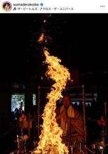 「これは凄い瞬間」「神馬じゃ」ウマ年を象徴する奇跡の１枚が大反響！須磨寺の副住職がＳＮＳに投稿