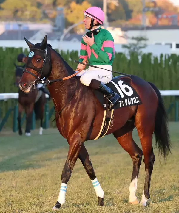 日曜京都競馬場の注目激走馬…京都１１Ｒ淀短距離ステークス（Ｌ）