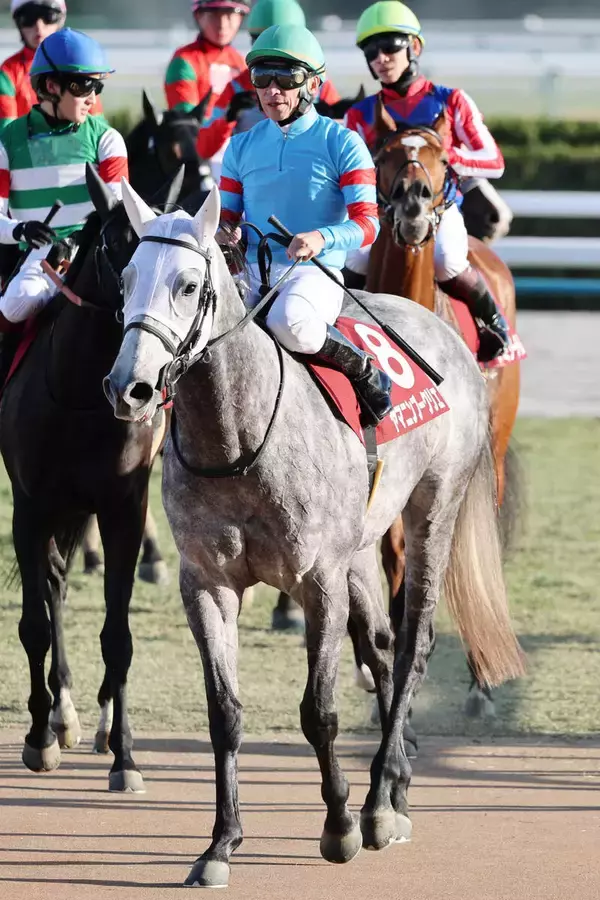 【日経新春杯】横山典弘騎手「重かったんじゃないかな」と馬体重を指摘　ヤマニンブークリエは７着に敗れる