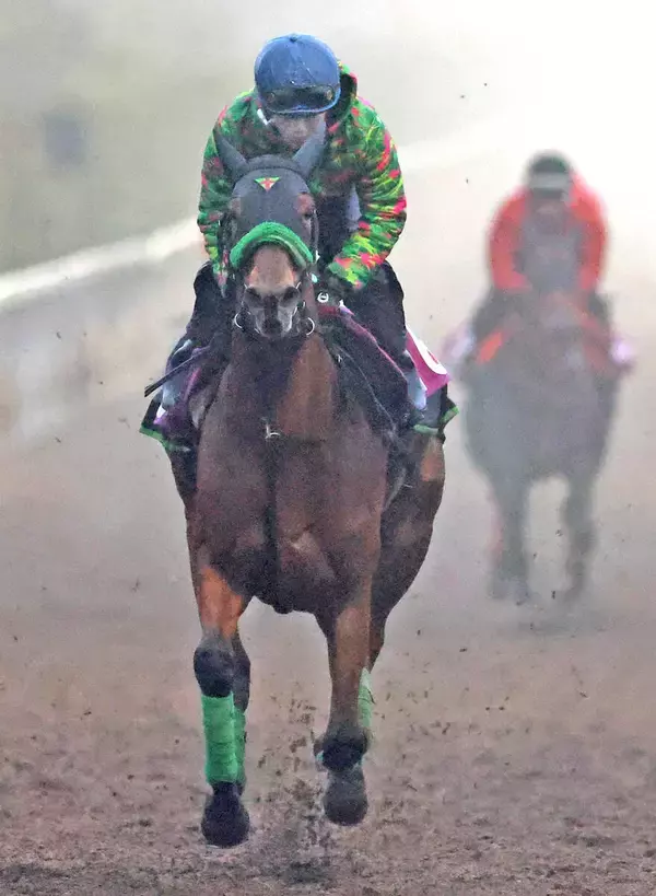 まさかのクイーンＣ１番人気惨敗に悲鳴「嘘だよな？」「ぶっ飛ぶのは想定外」　Ｇ１・２着馬のギャラボーグ