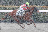 「雪の一戦となった前走５馬身差Ｖマジッククッキーは昇竜Ｓへ　鞍上は引き続き２戦２勝の上里直汰騎手を予定」の画像1