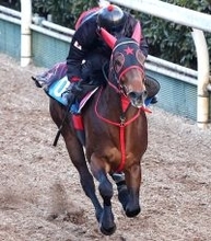 【オーシャンＳ】上り馬フリッカージャブの西園翔調教師が重賞で最後の親子対決　父親の西園正調教師は今週ラスト
