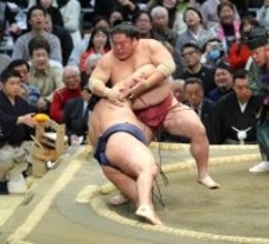 関脇・大栄翔が横綱・豊昇龍撃破で通算６個目の金星「横綱に勝てるのは自信になる」　４勝４敗の五分に