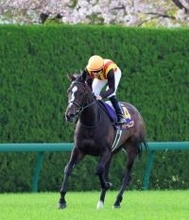 【桜花賞】直線で失速した２番人気ドリームコアは９着　ルメール騎手は「左回りの方がいいと思う」