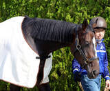 「【注目馬動向】桜花賞９着のドリームコアはオークスに向けて調整　社台グループオーナーズが発表」の画像1