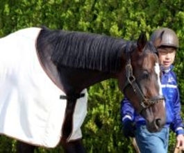 【注目馬動向】桜花賞９着のドリームコアはオークスに向けて調整　社台グループオーナーズが発表