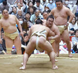 「春巡業最終日、幕内・豪ノ山が関取最多の２３番「感覚としてはまだまだ。（番数は）できたと思う」」の画像1