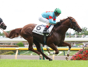 【東京４Ｒ・２歳新馬】サリオス産駒２日連続勝利　デビューＶタクティシアンの森一師は助手時代に父に携わる