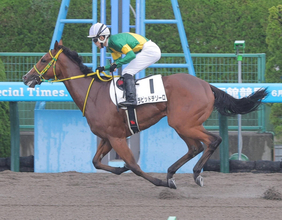 【函館１Ｒ】ラピッドテソーロが母が活躍した砂替わりで初Ｖ　母は全日本２歳優駿の覇者リエノテソーロ