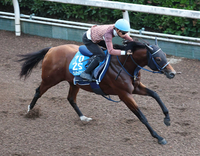 【注目馬動向】サンデーファンデーがコリアカップの招待を受諾　初の海外遠征へ