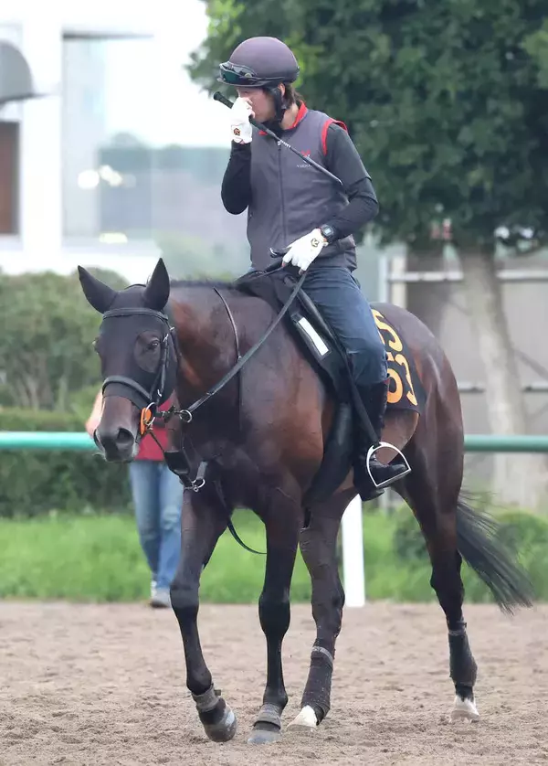 【京成杯ＡＨ・金曜気配】上原佑調教師「状態は良いですね」フォルテアンジェロ仕上がり絶好