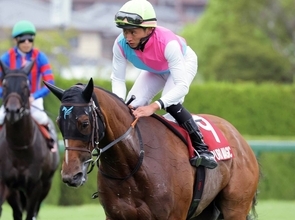 サマースプリントシリーズはピューロマジックが２６ポイントで王者に　対象レース２勝＆セントウルＳで２着