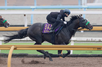 【神戸新聞杯】２冠馬ロブチェンは坂路で活気十分　陣営「動きも行きっぷりも良かった」