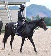 【神戸新聞杯】武豊騎手と初コンビの５・９億円馬エムズビギンは５着　最後方追走から「一瞬飲み込むかなと」