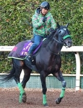 【阪神Ｃ】復活に期待！Ｇ１馬ルガルは力強い脚取りで最終調整　陣営「しっかり動けていた。状態も前走よりいいかな」