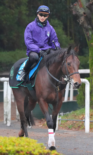 【京都金杯】実績上位のキープカルムが巻き返す　陣営「しらさぎＳを勝った時に近い状態」