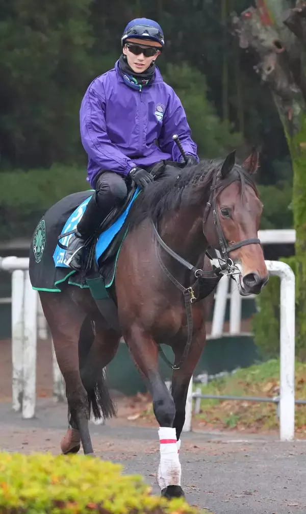 【京都金杯】実績上位のキープカルムが巻き返す　陣営「しらさぎＳを勝った時に近い状態」
