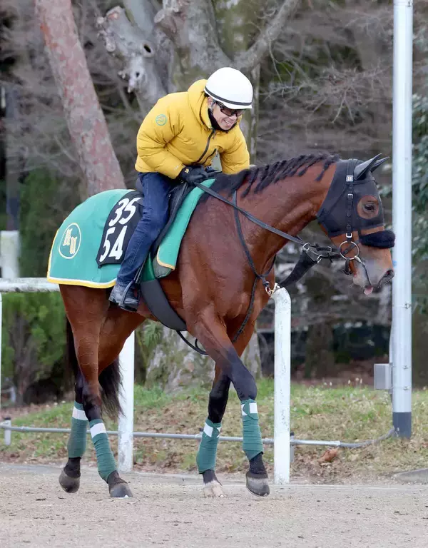 【ＰＯＧ】ベラジオオペラ引退直後に良血のベラジオヴァレルが京都で初陣　上村調教師「まだまだ幼いが、能力はある」