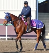 【シンザン記念・水納の特注馬】前走ノーステッキで７馬身差Ｖ　ディアダイヤモンドは重賞でも通用する逸材　