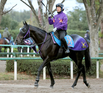 【注目馬動向】昨年のダービー卿ＣＴ勝ち馬のトロヴァトーレは東京新聞杯へ