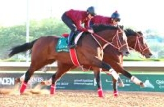 【サウジＣ】フォーエバーヤングは直線でのアクション重視の“サウジ仕様”　坂井瑠星騎手「予定通りでした」