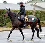 「【チャーチルダウンズＣ】「ユタカさんと手が合いそうです」と陣営が話すリゾートアイランド　ここも勝負強さ見せる　」の画像1