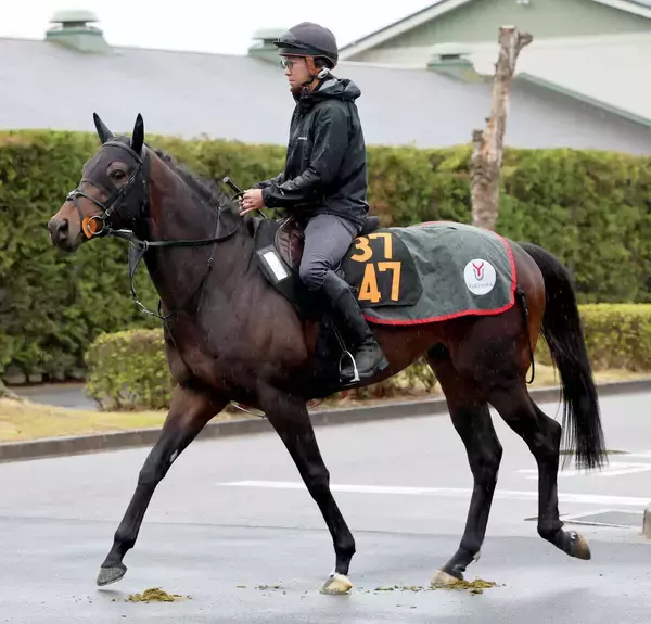 【チャーチルダウンズＣ】「ユタカさんと手が合いそうです」と陣営が話すリゾートアイランド　ここも勝負強さ見せる　