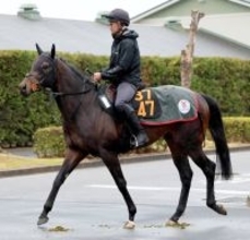 【チャーチルダウンズＣ】「ユタカさんと手が合いそうです」と陣営が話すリゾートアイランド　ここも勝負強さ見せる　