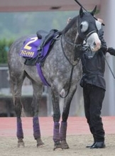 【天皇賞・春】アドマイヤテラは武豊騎手×アドマイヤで２週連続重賞Ｖへ　陣営「スピードの乗り方が良くなった」