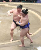 「若隆景が５勝目　藤ノ川に頭をつけて１敗死守...前日の初黒星引きずらず」の画像1