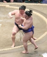 若隆景が５勝目　藤ノ川に頭をつけて１敗死守...前日の初黒星引きずらず