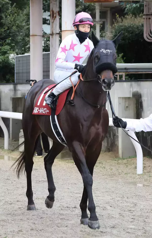 【注目馬動向】黒船賞で重賞２勝目のマテンロウコマンドはさきたま杯に登録　除外なら東海Ｓを目指す