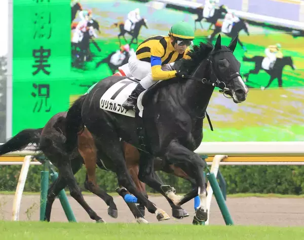 【新潟１Ｒ】１番人気に応えてリリカルフレアが完勝　初騎乗の戸崎圭太騎手「これからが楽しみな馬」