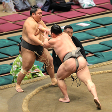 三段目・天照馬が突き出しで初白星　連敗発進も２日間の休みで気持ちリセット「負けたのは良い経験になった」