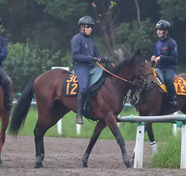 【今週のトク注新馬】Ｇ１馬ブレイディヴェーグの弟アインザッツがデビュー　宮田調教師「スタイリッシュで顔も似ている」