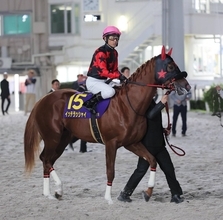 まさかの失速…ホリエモン愛馬のイッテラッシャイは大差の最下位１６着　戸崎圭太騎手「向こう正面から息が…」ＪＤクラシック