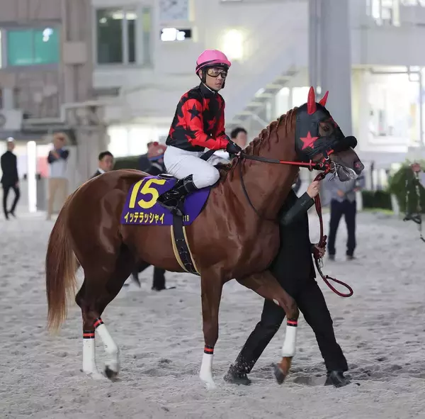 まさかの失速…ホリエモン愛馬のイッテラッシャイは大差の最下位１６着　戸崎圭太騎手「向こう正面から息が…」ＪＤクラシック