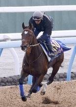 ２３年日本ダービー馬タスティエーラは有馬記念がラストラン　種牡馬入りへ