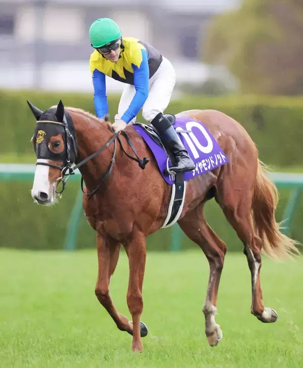 【注目馬動向・３歳】朝日杯ＦＳ２着ダイヤモンドノットはファルコンＳへ　アスクエジンバラはスプリングＳから皐月賞