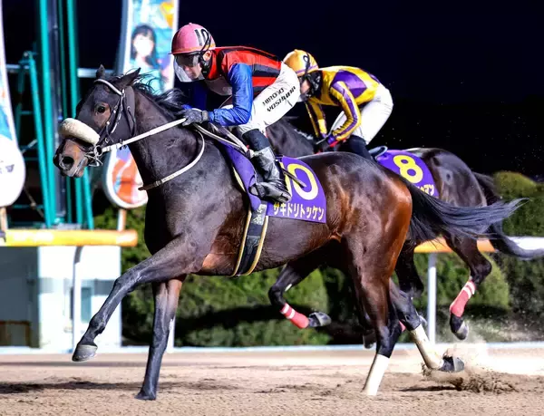 【佐賀・花吹雪賞】いざＪＲＡのチューリップ賞へ　単勝１・１倍のサキドリトッケンが重賞５連勝　吉原寛人騎手「感動しました」