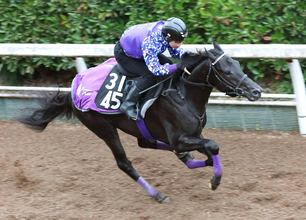 【注目馬動向】キッコベッロは武豊騎手との初コンビで若葉Ｓへ　シンザン記念２着サウンドムーブはスプリングＳへ