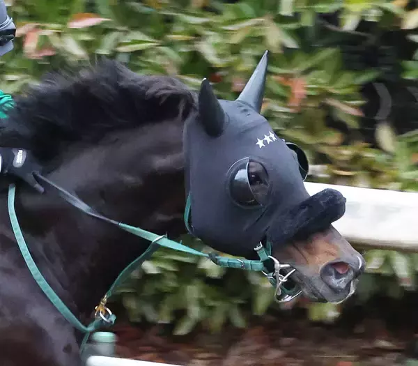 中山記念で１番人気評価にネット想定外「嘘やん」「気付いたら…」「罠だった」　セイウンハーデスは２桁着順に