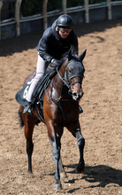 【注目馬動向】毎日杯２着のローベルクランツはＮＨＫマイルＣを目標　 アクロフェイズは西村淳也騎手と皐月賞へ