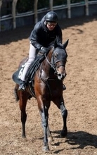 【注目馬動向】毎日杯２着のローベルクランツはＮＨＫマイルＣを目標　 アクロフェイズは西村淳也騎手と皐月賞へ